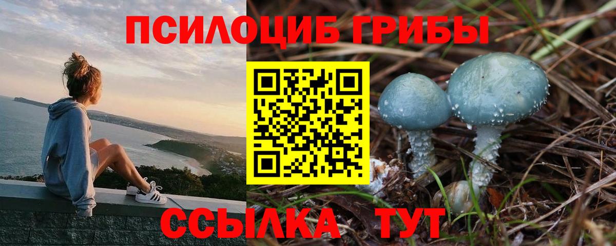 Галлюциногенные грибы прущие грибы Камышин