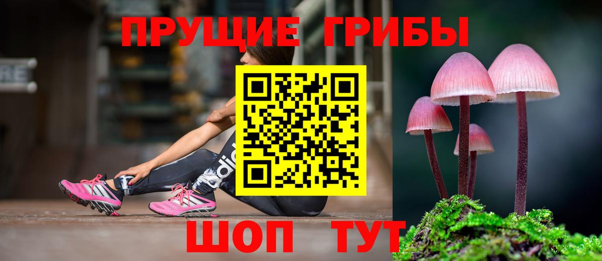 Камышин  Галлюциногенные грибы Magic Shrooms  Псилоцибиновые грибы Psilocybine cubensis  Вход с VPN 