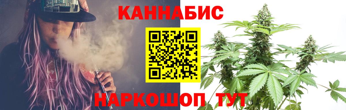 Бошки Шишки сатива  Бошки марихуана план  Вход с VPN  Камышин  Бошки Шишки SATIVA & INDICA 